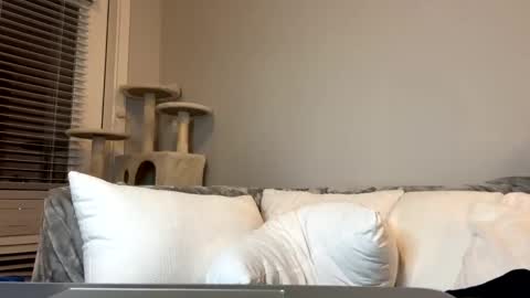 feyaa22 online show from December 10, 2024, 11:40 pm