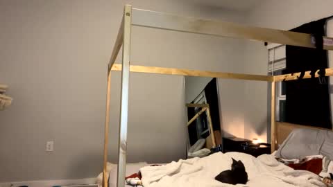 feyaa22 online show from January 12, 2025, 11:47 pm