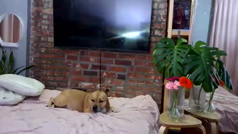 Goodess Jojo online show from April 4, 2026, 1:15 am