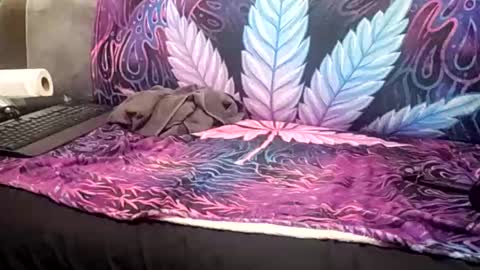 Snapshot of goldcmen chatting on January 17, 2025, 4:06 am Goldcmen online show from January 17, 2025, 4:06 am