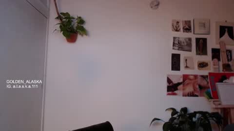 Snapshot of golden_alaska chatting on October 20, 2025, 11:21 am Alaska online show from October 20, 2025, 11:21 am