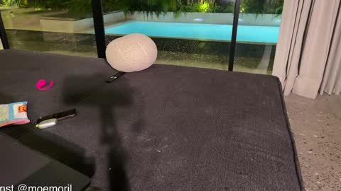 Aline meow   online show from February 22, 2026, 2:04 pm