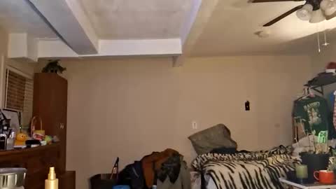 Snapshot of gonr369 chatting on February 17, 2026, 12:18 am gonr369 online show from February 17, 2026, 12:18 am