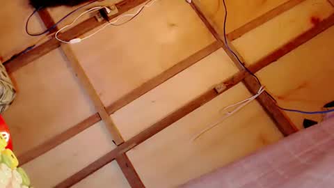 Janna Marie online show from February 16, 2025, 5:37 pm