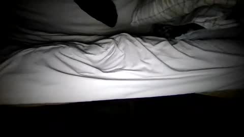 watch me stroke online show from May 5, 2026, 2:08 am