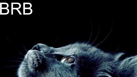 GrayceWild online show from January 31, 2025, 11:24 am