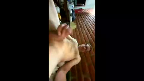 greaser0 online show from November 26, 2025, 5:30 am