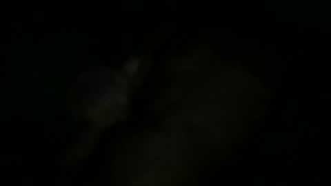 Sonny online show from October 11, 2025, 10:25 am