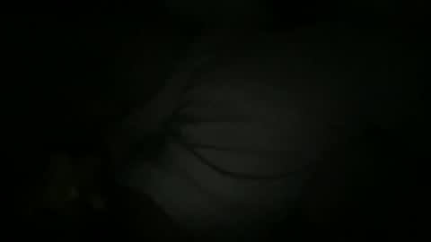 Sonny online show from February 2, 2026, 6:34 am