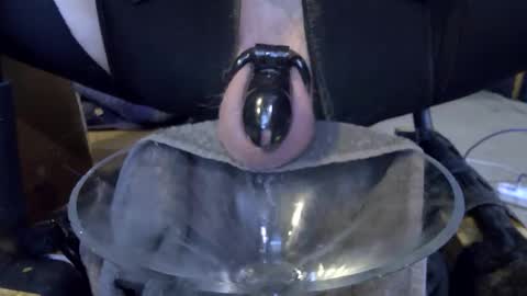 electrogee1 online show from February 22, 2026, 11:47 pm