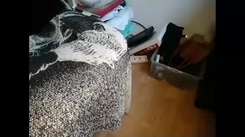 Greg online show from January 21, 2025, 9:46 am