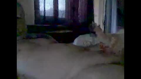 grittslappa online show from November 14, 2025, 12:42 am