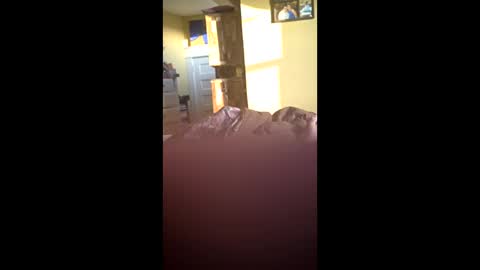 Snapshot of grizzely1975 chatting on November 24, 2025, 2:06 pm grizzely1975 online show from November 24, 2025, 2:06 pm