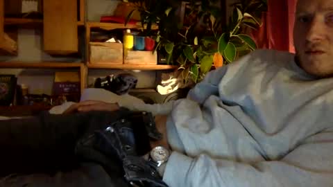 Snapshot of gruendamien chatting on January 10, 2025, 3:37 pm gruendamien online show from January 10, 2025, 3:37 pm