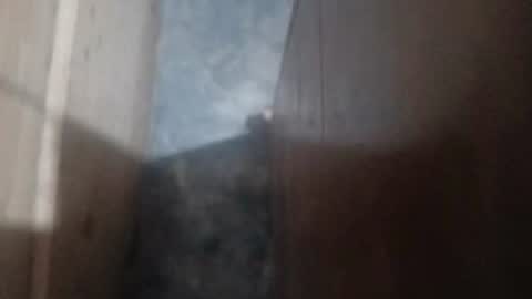 guidogomezcag online show from July 26, 2026, 5:48 am