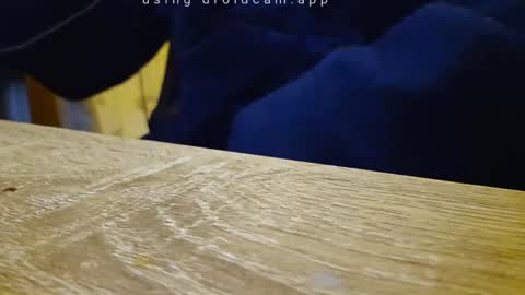 Snapshot of gullu8979 chatting on September 18, 2025, 10:56 pm Franky online show from September 18, 2025, 10:56 pm