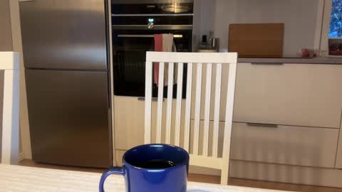 Snapshot of guyfromfinland1981 chatting on February 18, 2025, 5:31 am NaughtyFitHusband online show from February 18, 2025, 5:31 am