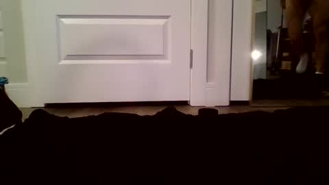 Guy Spartan online show from January 12, 2026, 5:07 pm