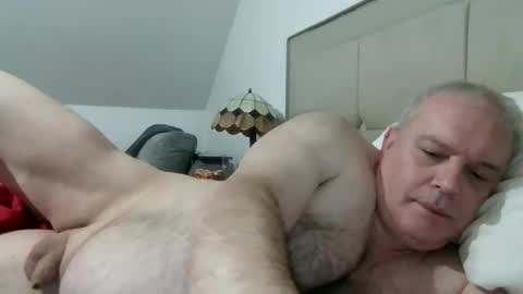 Snapshot of haggisstop chatting on December 17, 2025, 8:37 pm haggisstop online show from December 17, 2025, 8:37 pm