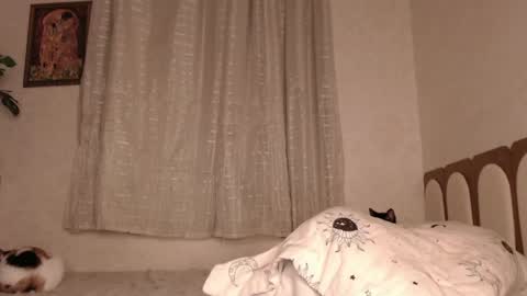 Snapshot of haidyhaven chatting on May 26, 2026, 3:13 am haidyhaven online show from May 26, 2026, 3:13 am