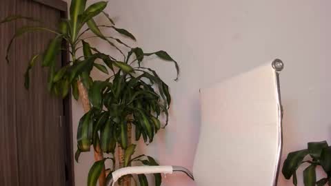 Hailey online show from October 1, 2025, 10:21 am