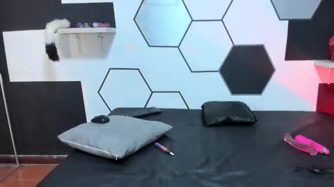 haileycat_ online show from December 21, 2024, 4:52 am