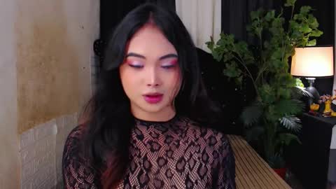 haily online show from November 12, 2025, 2:12 am