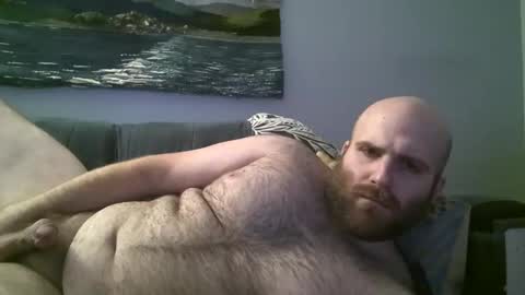 Hairiest Bear online show from December 23, 2024, 11:36 am