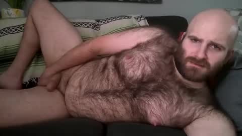 Hairiest Bear online show from February 6, 2026, 6:55 pm