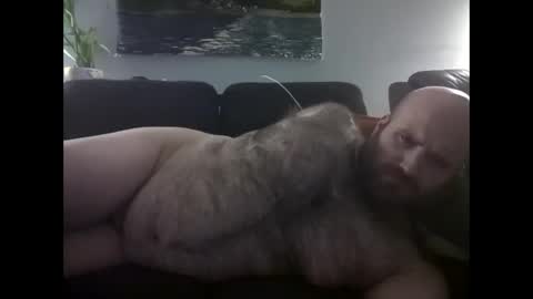 Hairiest Bear online show from June 2, 2026, 3:41 am