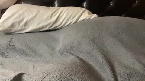 Snapshot of hairy_mexi chatting on March 4, 2025, 11:54 pm J M online show from March 4, 2025, 11:54 pm