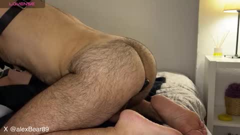hairyarabbear online show from September 12, 2025, 9:48 pm