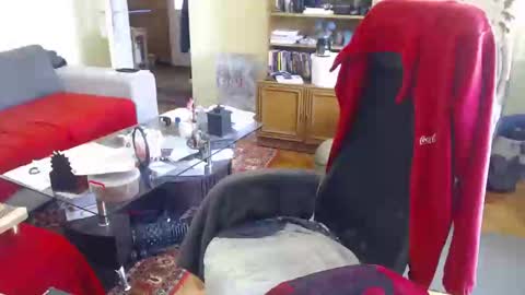 Puppy3 StockyDaddiesmusclebearsbeefybigmans online show from February 15, 2025, 12:01 pm