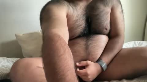 Snapshot of hairyaussie00 chatting on December 4, 2024, 3:04 am hairyaussie00 online show from December 4, 2024, 3:04 am