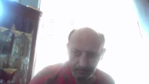 halit55 online show from July 8, 2026, 9:14 am