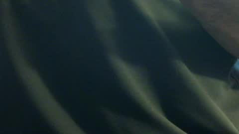 Snapshot of hamhead71 chatting on December 27, 2024, 6:20 pm hamhead71 online show from December 27, 2024, 6:20 pm