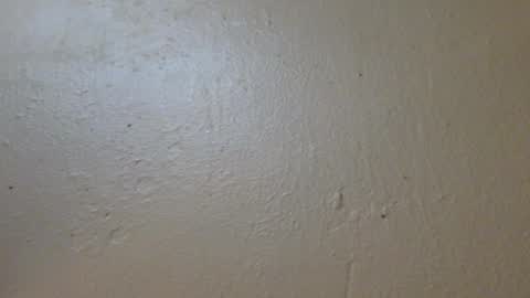 Snapshot of hamhead71 chatting on January 27, 2025, 6:52 pm hamhead71 online show from January 27, 2025, 6:52 pm