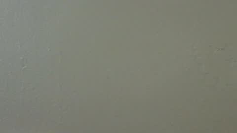 Snapshot of hamhead71 chatting on February 15, 2025, 5:41 am hamhead71 online show from February 15, 2025, 5:41 am