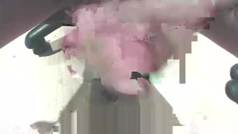 hammerhard1 online show from February 14, 2026, 12:40 am