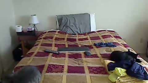 Snapshot of hammerthatthang73 chatting on March 17, 2026, 5:05 pm hammerthatthang73 online show from March 17, 2026, 5:05 pm