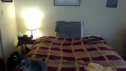 Snapshot of hammerthatthang73 chatting on March 20, 2026, 10:14 pm hammerthatthang73 online show from March 20, 2026, 10:14 pm