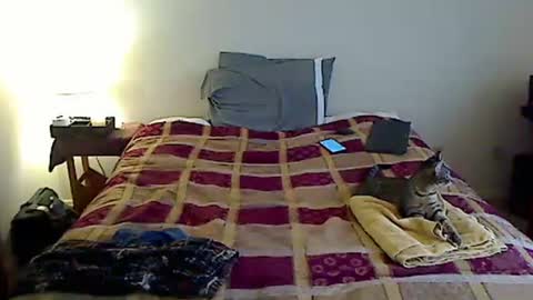 Snapshot of hammerthatthang73 chatting on March 23, 2026, 9:30 pm hammerthatthang73 online show from March 23, 2026, 9:30 pm