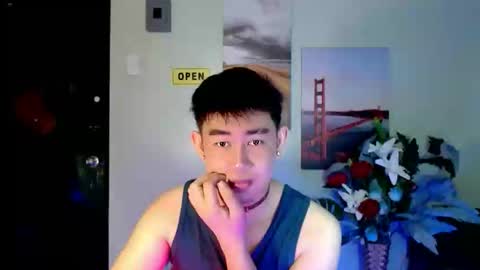 Snapshot of han_davis chatting on October 11, 2025, 12:32 am Dem online show from October 11, 2025, 12:32 am