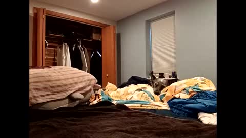 handsomedaddy198923 online show from October 20, 2025, 7:36 pm