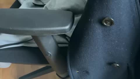 hanegcat online show from January 13, 2025, 9:08 am