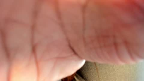 Hanna online show from January 26, 2025, 8:56 pm