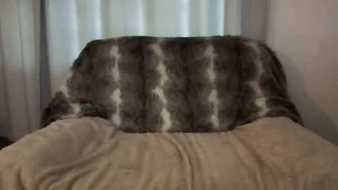 hannahsometimes694u online show from March 28, 2026, 8:14 am