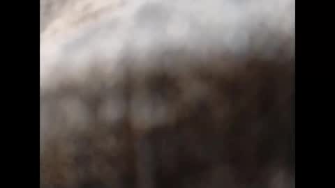 hardandhorny422 online show from November 11, 2025, 11:54 am