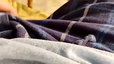 hardandhorny422 online show from November 30, 2025, 4:33 pm