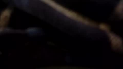 hardandhorny422 online show from May 9, 2026, 7:30 pm